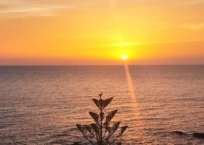 Estrella De Sal